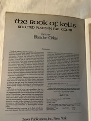 The Book of Kells Selected Plates in Full Color Dover Fine Art Paperback used