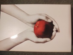 Twilight Saga White Collection by Stephenie Meyer (2012, Trade Paperback)