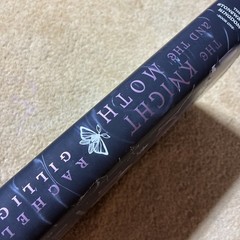 The Knight and the Moth by Rachel Gillig TARGET EXCLUSIVE EDITION
