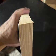 1998 „Rising Tides” Book by Nora Roberts – Used, 342 Pages, Paperback
