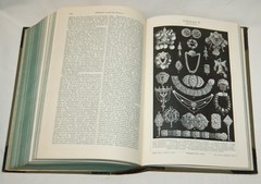 ANTIQUE BOOK Meyers Konversations-Lexikon ENCYCLOPEDIA Vol. 24 1911-1912 Germany