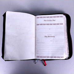 Holy Bible Red Letter Revised Standard Version – 1972 Nelson 4807 Second Edition