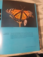 Color The Essence of You by Suzanne Caygill 1st Edition No DJ, SEE DESCRIPTION
