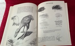 HOW TO DRAW PREHISTORIC MONSTERS By Larry Evans 1979 trade paperback