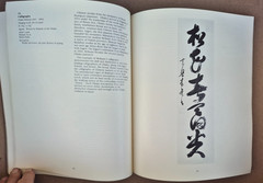 In The Way Of The Master – Kwan S Wong Celeste Adams – Museum Fine Arts Houston