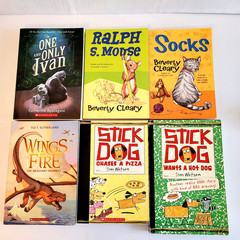 Boys 3rd/4th/5th/6th Grade Chapter Books Lot of 42 Homeschool PB Scholastic