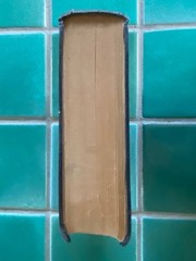 The Truth about the Treaty by Andre Tardieu 1921 Bobbs-Merrill HC hardcover