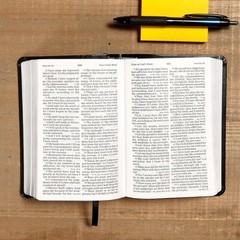 KJV Holy Bible Large Print LeatherTouch Red Letter King James w/ Bible Tabs Gift