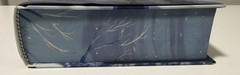 SIGNED Fairyloot Dire Bound By Sable Sorensen