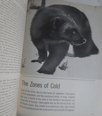 Life Nature Library Land and Wildlife of Eurasia 1967 198 PAGES