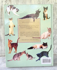 The Complete Cat Book by Paddy Cutts 1999 Barnes & Noble