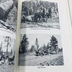 Gentle Giants Story of Draft Horses Stanley M. Jepsen 1973 HC 2nd Print Photos