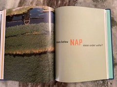 Holland Living With Water 2004 1sr Ed. Scriptum Publisher Preowned Condition VG+