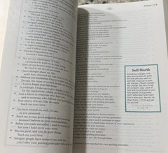 God’s Word For Students Bible Wayne Rice Series 365 Daily Devotions Teens/Youth