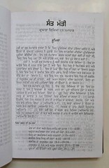 Punjabi New Testament Bible Vinyl Cover Bible Society Of India *NEW* 2009