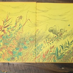 VINTAGE Miss Suzy Miriam Young Illus Arnold Lobel HC Parents’ Mag Press 1964
