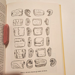 Wampum, War, and Trade Goods Hagerty 1984