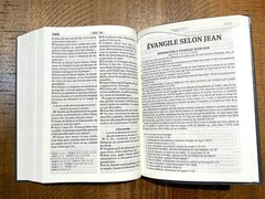 French Bible LARGE PRINT Compact, Louis Segond 1910, Marine Blue Vinyl