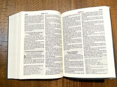 French Bible LARGE PRINT Compact, Louis Segond 1910, Marine Blue Vinyl