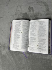 The Action Bible Study Bible ESV – Lavender Premium Edition – VG