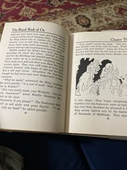 The Royal Book Of Oz (#42)