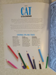 CAT COLORING – 32 Inspiring Designs for Adults -Relax & Enjoy -Escape & Breathe