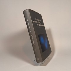 How to See a Work of Art in Total Darkness. Darby English