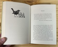 THE WAY HOME: TALES FROM A LIFE WITHOUT TECHNOLOGY By Mark Boyle – Hardcover