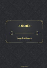 Holy Bible Tyndale Bible 1536 Paperback Book 276 Pages English February 14, 2021