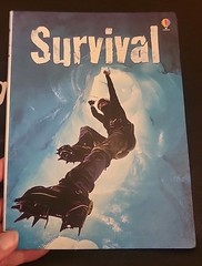 Lot Of 2 Usborne Henry Brook Books Spying & Survival 80 Pages Each 8 1/4″ X 6″