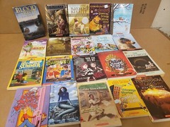 Lot of 100 Chapter INSTANT LIBRARY Children RANDOM~MYSTERY BOX~UNSORTED BOOK MIX