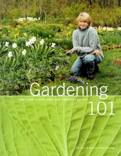 Gardening 101: Learn How to Plan, Plant, and Maintain a Garden – GOOD