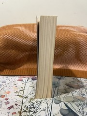 Hunger Games by Suzanne Collins (Trade Paperback)
