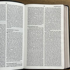 ESV Large Print Thinline Bible (Black Genuine Leather)