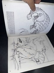 Dinosaur Coloring Book (Dover Nature Coloring Book) by Anthony Rao 90% Uncolored