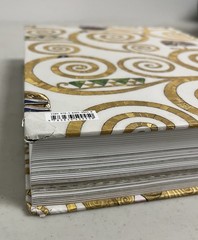 Gustav Klimt The Complete Paintings A Taschen Book