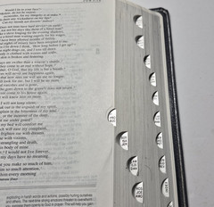 Zondervan Genuine Leather NIV Application Study Bible Navy Red Letter