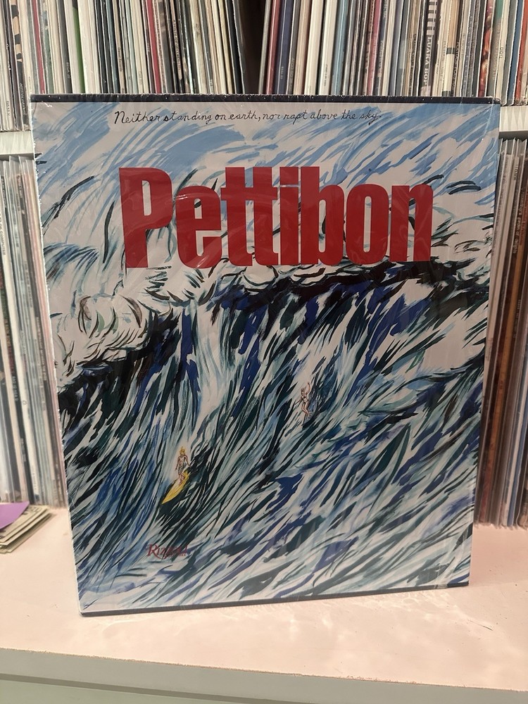 Raymond Pettibon Large HardBound Slipcase Book Rizzoli And Regen Projects