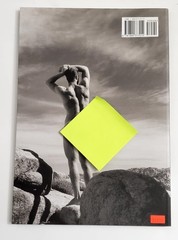 Handsome Devils by Klaus Gerhard / First Edition /Gay Interest /Male Photography