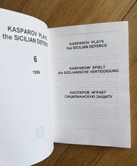10 Chess Books: for Authors, Titles,, and Condition please see Description.