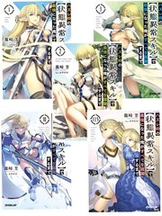 Failure Frame Vol. 1-11.5 Japanese Novel From Japan NEW