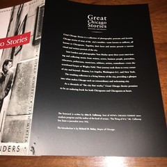 Great Chicago Stories: Portraits and Stories
