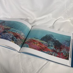 Children of the Sea Art Book Japanese Edition Very Good US Seller