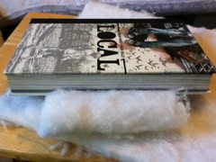 Local Complete Deluxe Hardcover Graphic Novel Brian Wood Ryan Kelly