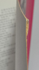 Vacant A Diary of Punk Years 1976-79 Nils & Ray Stevenson 1999 1st UK ed PB Book