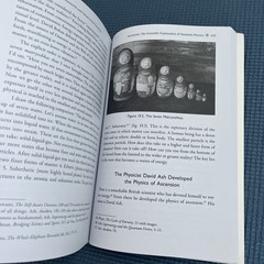 Magdalene’s Ascension : Mary’s Journey to Becoming Light by Annine van der Meer