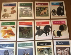 Lot of 24 Rigby PM Animal Facts Books Readers – Early Learning Homeschool