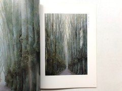 Great Masters of Modern Japanese Art from the Idemitsu Collection Japanese Art