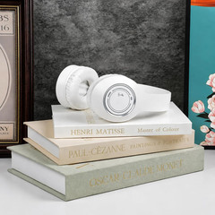 Decorative Books for Home Decor,Set of 3 Aesthetic Faux Books with Storage Box,L