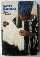 INTO INDIGO by Claire Polakoff 1st Ed 1st Printing Anchor Press Doubleday [420]